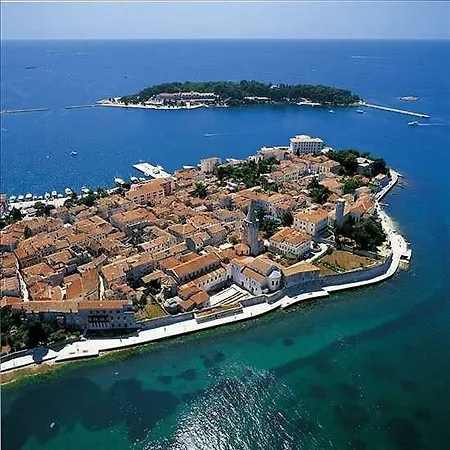 Ulivo Apartman