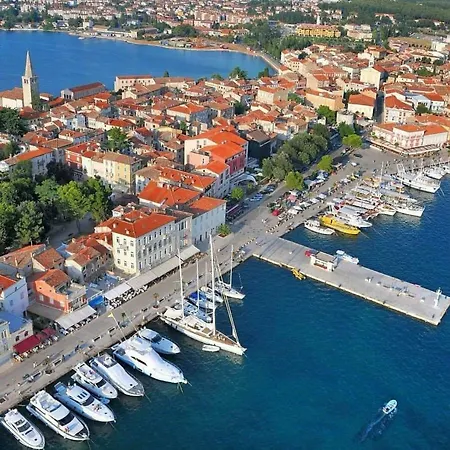 Ulivo Apartman