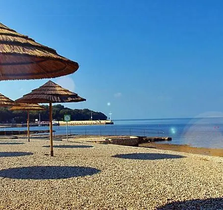 Ulivo Poreč