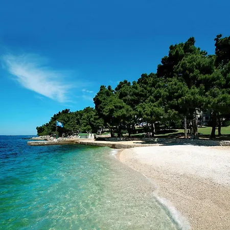 Ulivo * Poreč